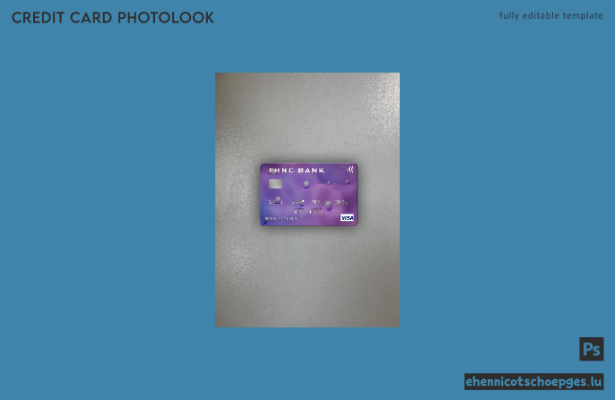 USA First Horizon National Corporation Bank Visa-Karte Fotoansicht Beispielvorschau